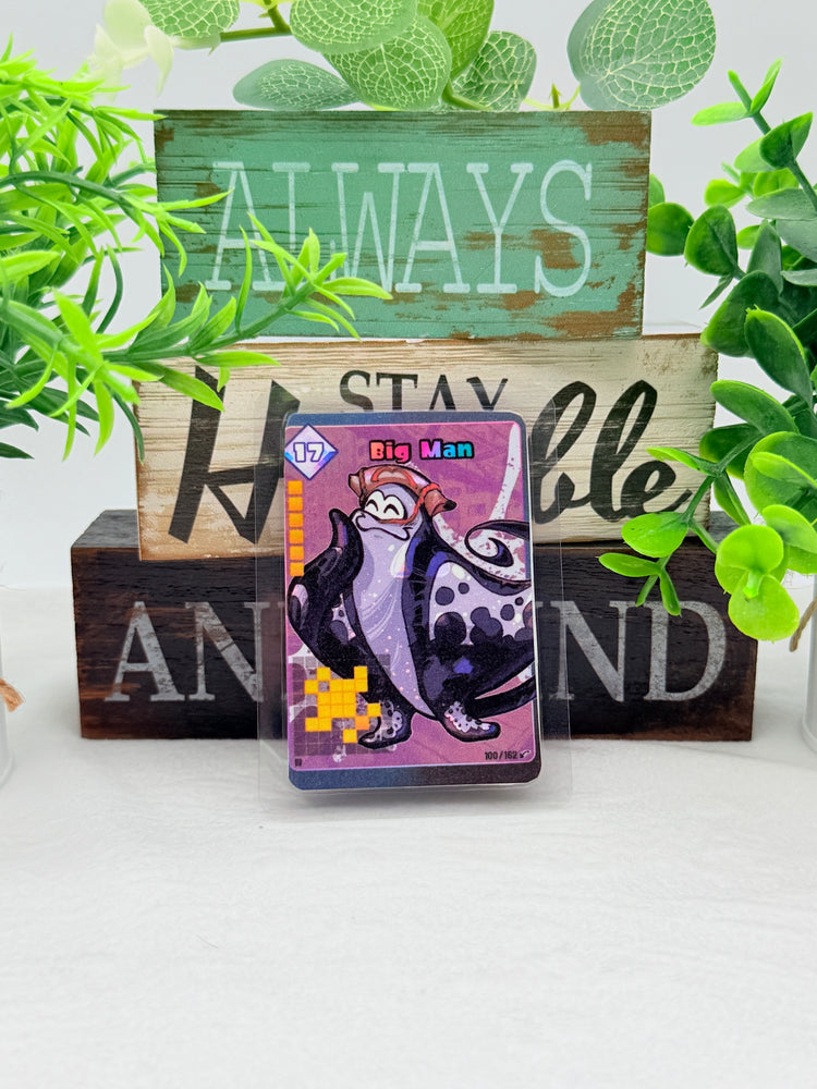 Splatoon Tablesuft Battle Cards Fanart Amiibo Laminated Cards