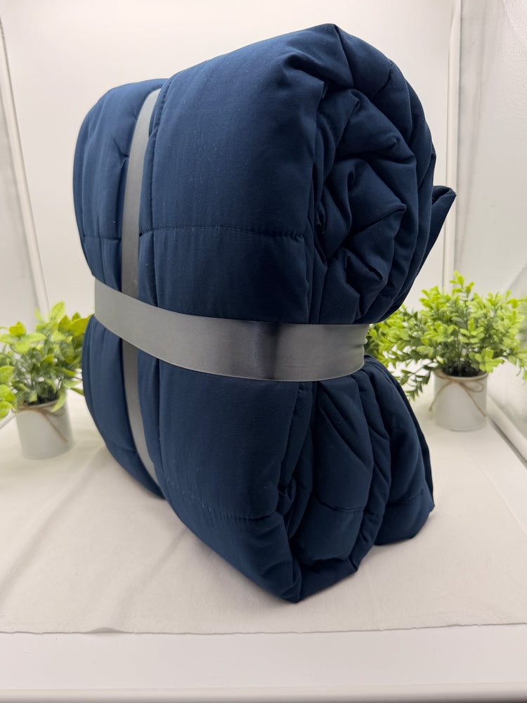 Madison Park Coleman Plush HeiQ Smart Temperature Down Alternative Blanket, Twin