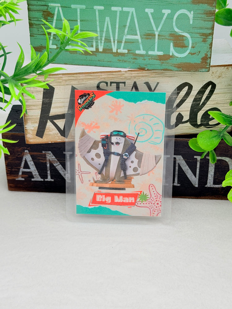Splatoon Raiders Amiibo Cards Laminated Version